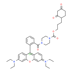 DCP-Rho1 structure