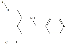 (butan-2-yl)[(pyridin-4-yl)methyl]amine dihydrochloride structure