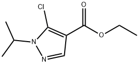 1G Structure