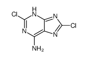 2,8-dichloro-1H-adenine结构式