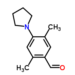 2,5-DIMETHYL-4-PYRROLIDIN-1-YL-BENZALDEHYDE structure