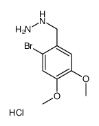 887596-58-9 structure