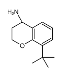 (S)-8-(tert-Butyl)chroman-4-amine picture