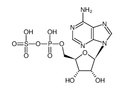 485-84-7结构式