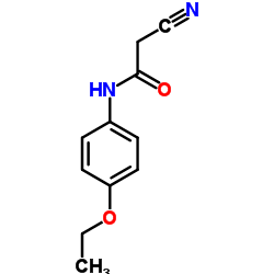 51838-07-4 structure