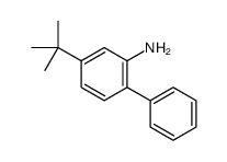 4-(2-Methyl-2-propanyl)-2-biphenylamine结构式