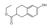 101637-69-8 structure