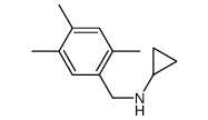 N-(2,4,5-Trimethylbenzyl)cyclopropanamine Structure