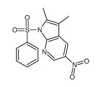 2,3-Dimethyl-5-nitro-1-(phenylsulfonyl)-1H-pyrrolo[2,3-b]pyridine Structure