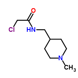 2-Chloro-N-[(1-methyl-4-piperidinyl)methyl]acetamide picture