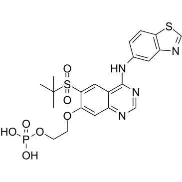 GSK2983559 free acid Structure