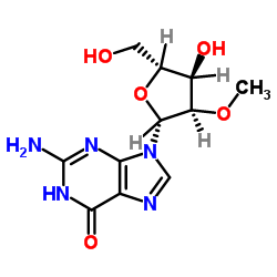 2'-O-Methylguanosine Structure