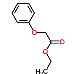 Ethyl phenoxyacetate Structure