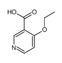 4-ethoxy-nicotinic acid结构式