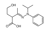 2-(2-hydroxyethyl)-3-[phenyl(propan-2-yl)hydrazinylidene]butanoic acid Structure