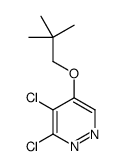 3,4-Dichloro-5-(2,2-dimethylpropoxy)pyridazine Structure