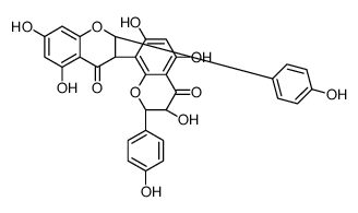 GB1 Garcinia picture