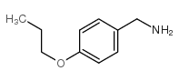 21244-33-7 structure