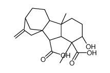 Giberellin A14 Structure