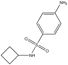 4-amino-N-cyclobutylbenzenesulfonamide Structure