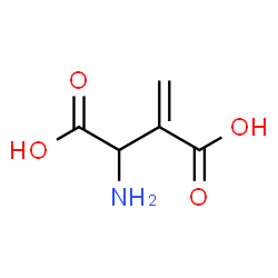 beta-methyleneaspartate Structure