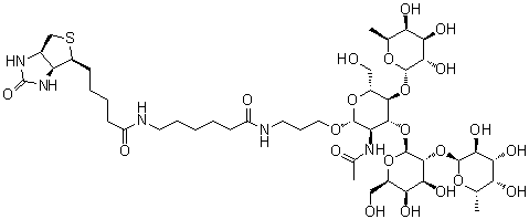 (3aS,4S,6aR)-N-[6-[[3-[[O-6-Deoxy-alpha-L-galactopyranosyl-(1-2)-O-beta-D-galactopyranosyl-(1-3)-O-[6-deoxy-alpha-L-galactopyranosyl-(1-4)]-2-(acetylamino)-2-deoxy-beta-D-glucopyranosyl]oxy]propyl]amino]-6-oxohexyl]hexahydro-2-oxo-1H-thieno[3,4-d]imidazole-4-pentanamide Structure