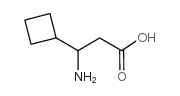 3-AMINO-3-CYCLOBUTYL-PROPIONIC ACID picture