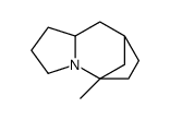 5,8-Methano-1H-pyrrolo[1,2-a]azepine,octahydro-5-methyl-(9CI) structure