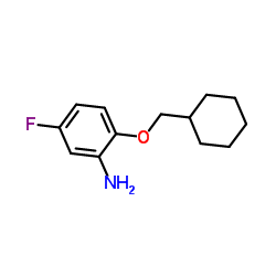 2-(Cyclohexylmethoxy)-5-fluoroaniline Structure