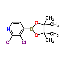 2,3-Dichloropyridine-4-boronic acid pinacol ester Structure