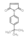 1-(4-TERT-BUTYL-PHENYL)-PYRROLE-2,5-DIONE picture