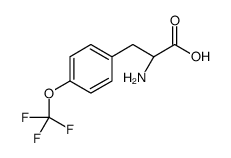 (R)-2-Amino-3-(4-(trifluoromethoxy)phenyl)propanoic acid Structure