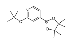 2-tert-butoxy-4-(4,4,5,5-tetramethyl-1,3,2-dioxaborolan-2-yl)pyridine picture