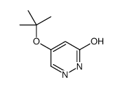 4-[(2-methylpropan-2-yl)oxy]-1H-pyridazin-6-one结构式