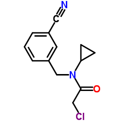 2-Chloro-N-(3-cyanobenzyl)-N-cyclopropylacetamide结构式