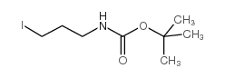 TERT-BUTYL 3-IODOPROPYLCARBAMATE picture