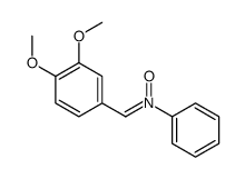 52167-55-2 structure