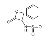 N-(2-oxooxetan-3-yl)benzenesulfonamide Structure