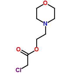 2-(4-Morpholinyl)ethyl chloroacetate结构式