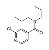 2-Chloro-N,N-di-n-propylpyridine-4-carboxamide结构式