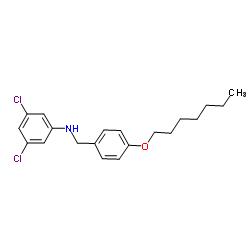 3,5-Dichloro-N-[4-(heptyloxy)benzyl]aniline Structure