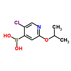 5-Chloro-2-isopropoxypyridine-4-boronic acid picture