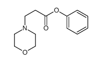 phenyl 3-morpholin-4-ylpropanoate Structure