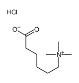 5-carboxypentyl(trimethyl)azanium,chloride Structure