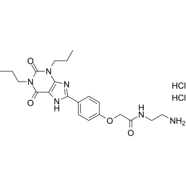 XAC structure