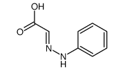 Acetic acid, (phenylhydrazono)-, (E)- (9CI)结构式