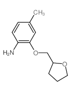 4-Methyl-2-(tetrahydro-2-furanylmethoxy)aniline图片