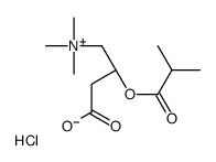 Isobutyryl-L-carnitine chloride Structure