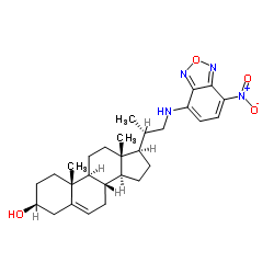 22-NBD Cholesterol picture