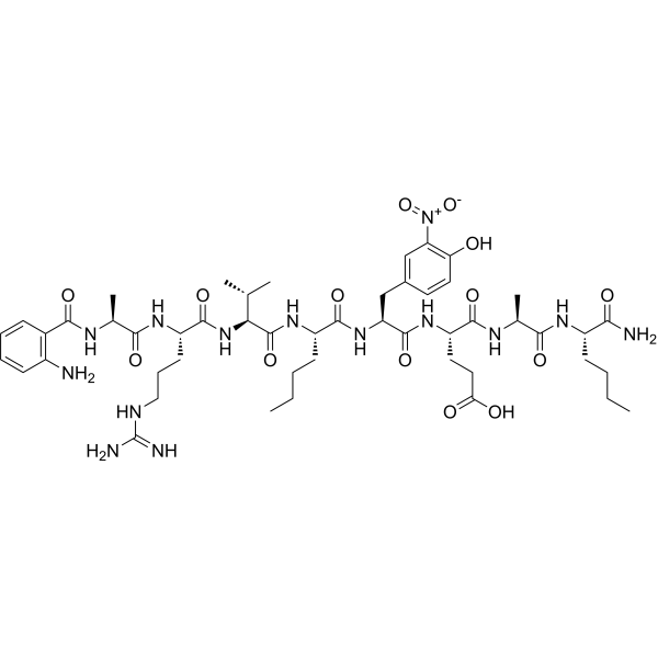 Fluorescent HIV Substrate Structure